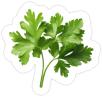 parsley